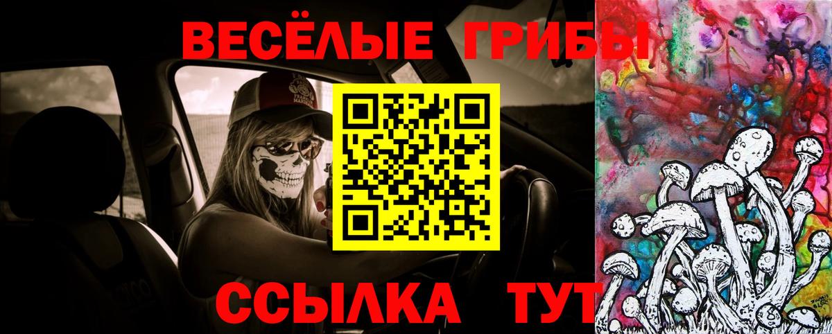 Псилоцибиновые грибы Magic Shrooms  Вход с VPN  Псилоцибиновые грибы прущие грибы  Амурск 