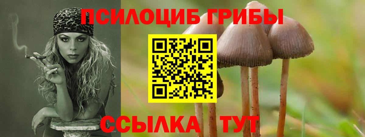 Псилоцибиновые грибы мухоморы Амурск