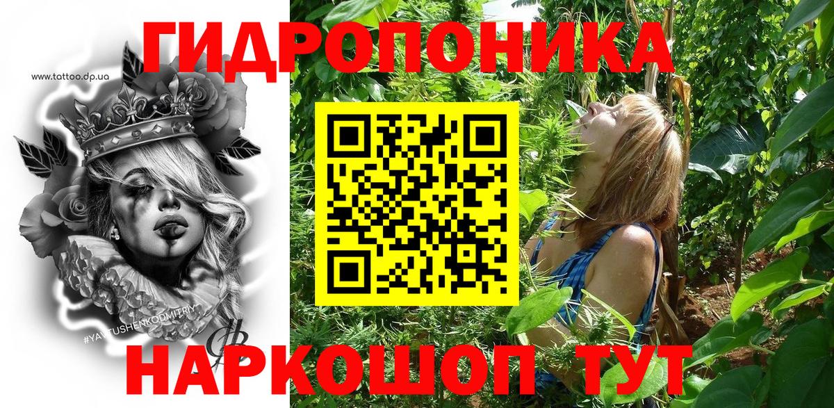 Конопля гибрид Амурск